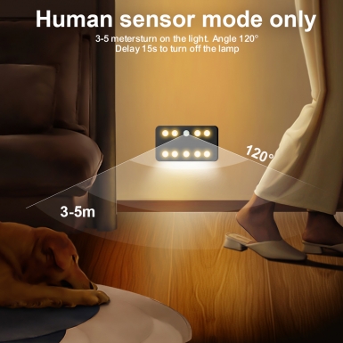 LED室内灯 - HCP260-九灯人体感应壁灯